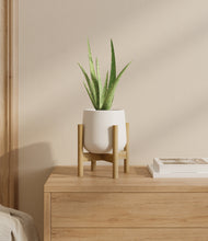 Load image into Gallery viewer, White stand:bamboo