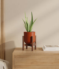 Load image into Gallery viewer, Earth Red stand:walnut
