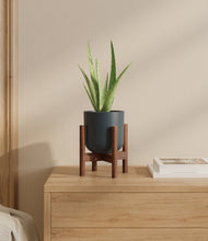 Load image into Gallery viewer, Iron Gray stand:walnut