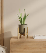 Load image into Gallery viewer, Sage Green stand:bamboo