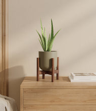 Load image into Gallery viewer, Sage Green stand:walnut