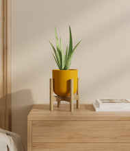 Load image into Gallery viewer, Sunset Orange stand:bamboo