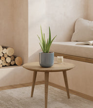 Load image into Gallery viewer, Misty Blue