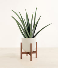 Load image into Gallery viewer, Natural Bamboo stand:walnut