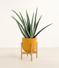 Load image into Gallery viewer, Sunset Orange stand:bamboo