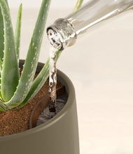 Load image into Gallery viewer, Olive stand:all