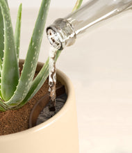 Load image into Gallery viewer, Almond Green stand:all