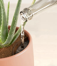 Load image into Gallery viewer, Calm Rose stand:all