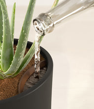 Load image into Gallery viewer, Black stand:all