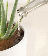 Load image into Gallery viewer, White stand:all