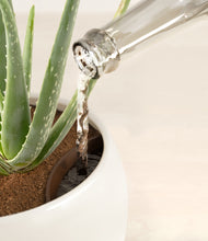 Load image into Gallery viewer, Shiny EggWhite stand:all