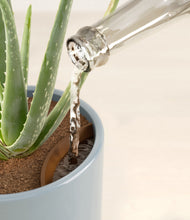 Load image into Gallery viewer, Misty Blue stand:all