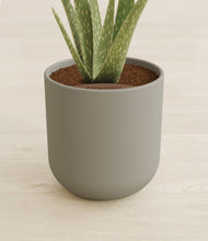 Load image into Gallery viewer, Sage Green stand:all