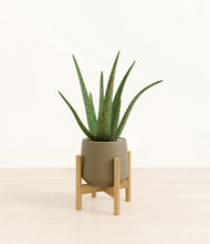 Load image into Gallery viewer, Olive stand:bamboo