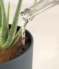 Load image into Gallery viewer, Iron Gray stand:all