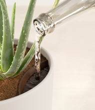 Load image into Gallery viewer, Natural Bamboo stand:all