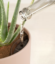 Load image into Gallery viewer, Sandy Pink stand:all