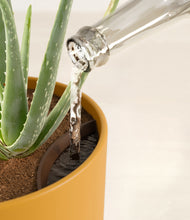 Load image into Gallery viewer, Sunset Orange stand:all