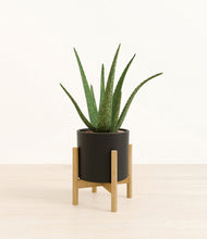 Load image into Gallery viewer, Black stand:bamboo