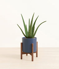 Load image into Gallery viewer, Deep Navy stand:walnut