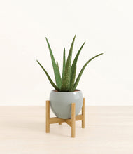 Load image into Gallery viewer, Deep Ocean stand:bamboo