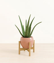 Load image into Gallery viewer, Calm Rose stand:bamboo