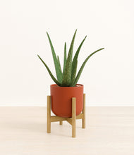 Load image into Gallery viewer, Earth Red stand:bamboo