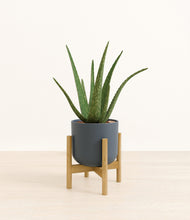 Load image into Gallery viewer, Iron Gray stand:bamboo