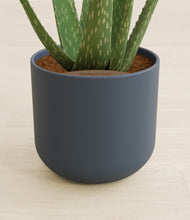 Load image into Gallery viewer, Iron Gray stand:all