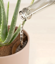 Load image into Gallery viewer, Sandy Pink stand:all