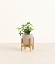 Load image into Gallery viewer, Eternal Gray stand:bamboo