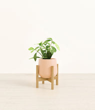 Load image into Gallery viewer, Gentle Pink stand:bamboo