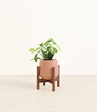 Load image into Gallery viewer, Calm Rose stand:walnut