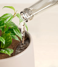 Load image into Gallery viewer, Eternal Gray stand:all