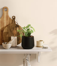 Load image into Gallery viewer, Black