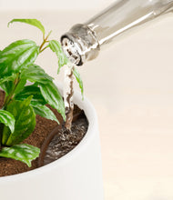 Load image into Gallery viewer, White stand:all