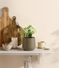 Load image into Gallery viewer, Olive