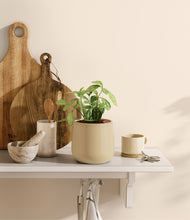 Load image into Gallery viewer, Almond Green