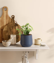 Load image into Gallery viewer, Deep Navy