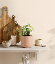 Load image into Gallery viewer, Gentle Pink