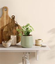 Load image into Gallery viewer, Turquoise