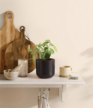 Load image into Gallery viewer, Stone Black