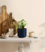 Load image into Gallery viewer, Twilight Blue