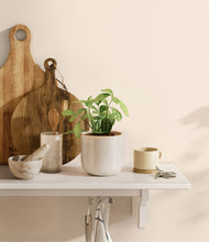 Load image into Gallery viewer, Snowdrift White