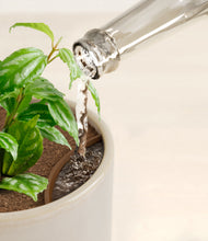 Load image into Gallery viewer, Snowdrift White stand:all