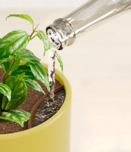 Load image into Gallery viewer, Key Lime Yellow stand:all