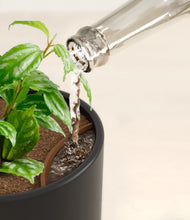 Load image into Gallery viewer, Stone Black stand:all