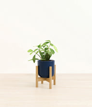 Load image into Gallery viewer, Twilight Blue stand:bamboo