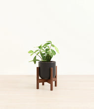 Load image into Gallery viewer, Stone Black stand:walnut