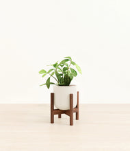 Load image into Gallery viewer, Cotton White stand:walnut